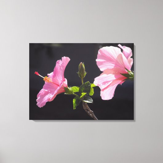 Hibiscusbloem in Profiel Canvas Afdruk (Voorkant)
