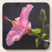 Hibiscusbloem in Profiel Onderzetter (Voorkant)
