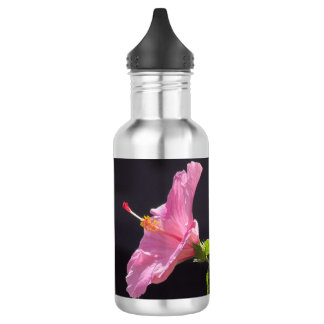 Hibiscusbloem in Profiel Waterfles