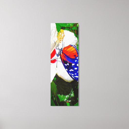 Hibiscusbloem met 2 tijger longwing vlinders canvas afdruk (Voorkant)