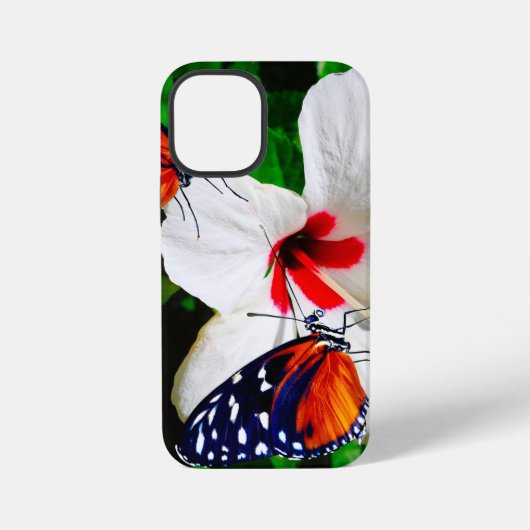 Hibiscusbloem met 2 tijger longwing vlinders iPhone hoesje (Achterkant)