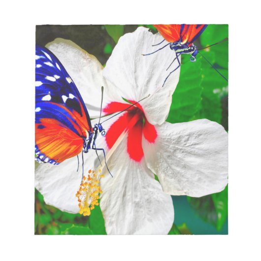 Hibiscusbloem met 2 tijger longwing vlinders notitieblok (Voorkant)