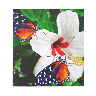 Hibiscusbloem met 2 tijger longwing vlinders notitieblok
