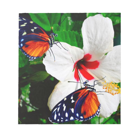 Hibiscusbloem met 2 tijger longwing vlinders notitieblok (Voorkant)