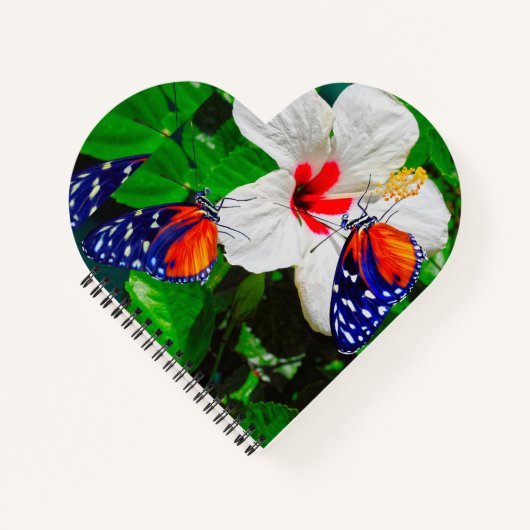 Hibiscusbloem met 2 tijger longwing vlinders notitieboek (Voorkant)