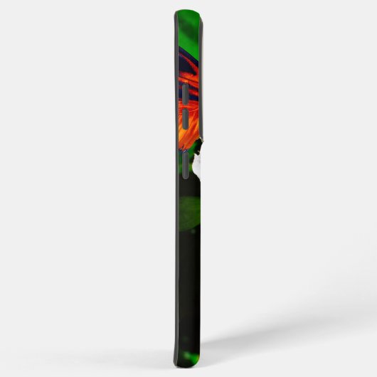 Hibiscusbloem met 2 tijger longwing vlinders samsung galaxy hoesje (Rechterkant)