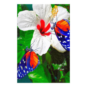 Hibiscusbloem met Tiger Longwing Glossy Poster