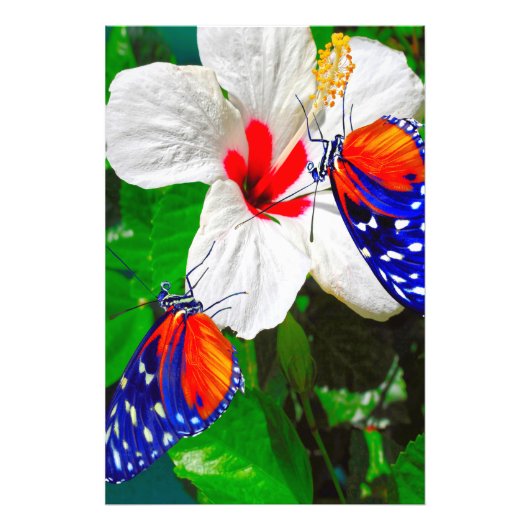 Hibiscusbloem met Tiger Longwing Glossy Poster (Voorkant)