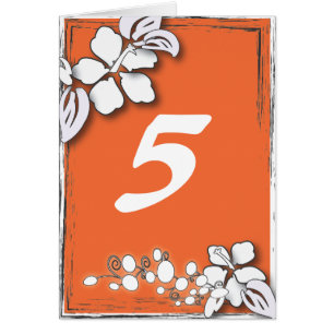 Hibiscusbloem Tropisch strand Hawaiiaanse bruiloft