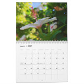 Hibiscuskalender Kalender (Mar 2027)