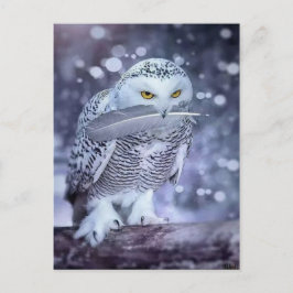 Hibou des neiges briefkaart