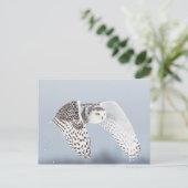 Hibou Harfang des neiges Briefkaart (Staand voorkant)