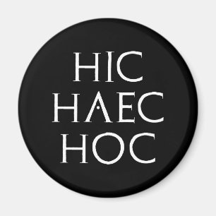 hic haec hoc Latein latin Magneet