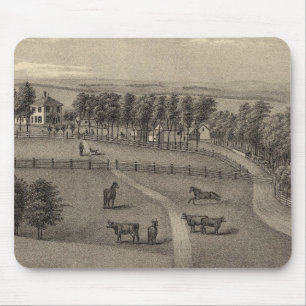 Hickmann, Nebraska Muismat