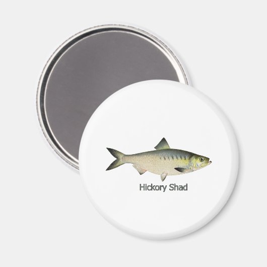 Hickory Shad Magneet (Voorkant / Achterkant)