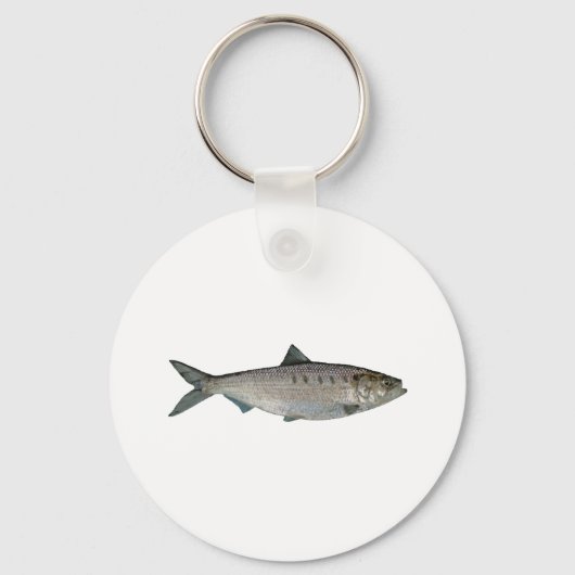 Hickory Shad Waterverf Sleutelhanger (Voorkant)