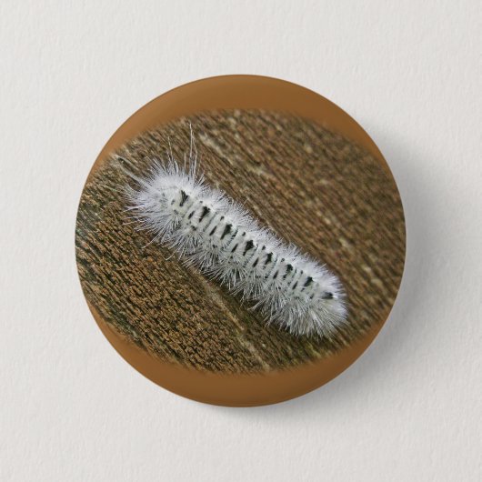 Hickory Tussock Moth (Lophocampa caryae) Ronde Button 5,7 Cm (Voorkant)
