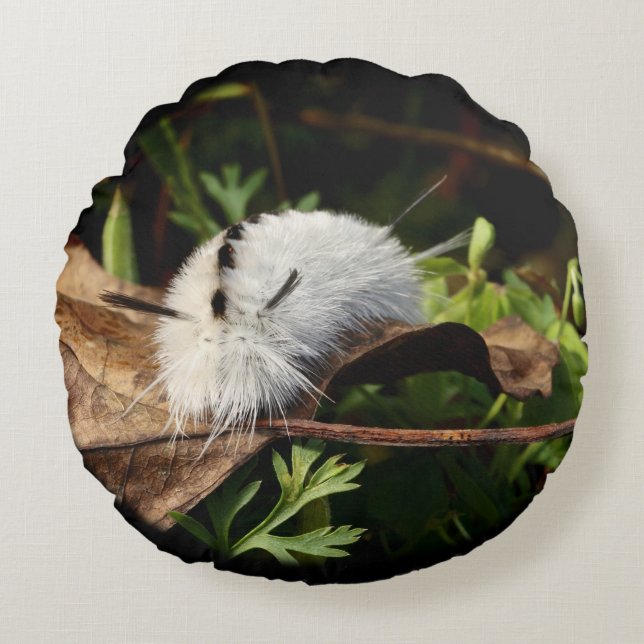 Hickory Tussock Moth Rond Kussen (Voorkant)