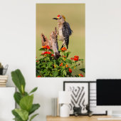 Hidalgo County, Texas Goudfront Woodpecker 2 Poster (Thuiskantoor)