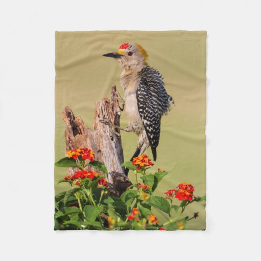 Hidalgo County, Texas. Goudvoorhoofdspecht Fleece Deken (Voorkant)