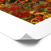 Hidden Beauty. Poster (Hoek)