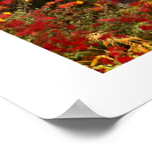 Hidden Beauty. Poster (Hoek)