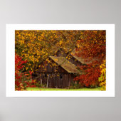 Hidden Beauty. Poster (Voorkant)