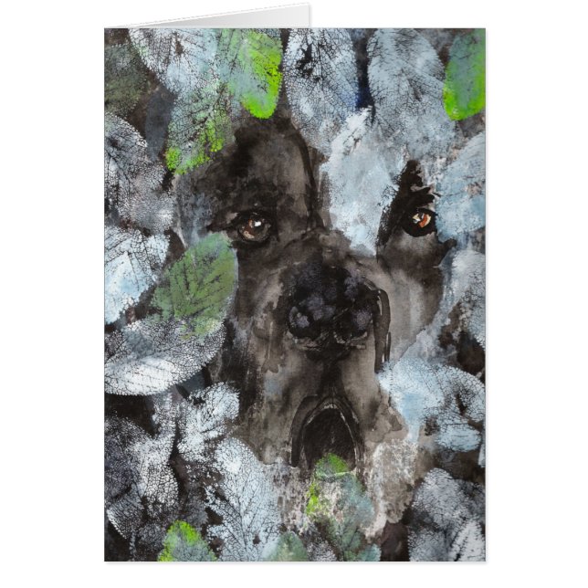 Hidden Dog (Voorkant)