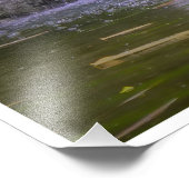 Hidden Garden Cascade Foto Afdruk (Hoek)