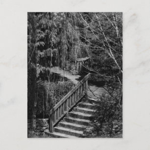 Hidden Garden Stairway Briefkaart