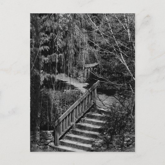 Hidden Garden Stairway Briefkaart (Voorkant)