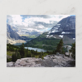 Hidden Lake Overlook Glacier National Park Montana Briefkaart