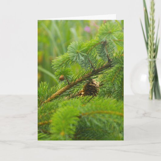 Hidden Pine Cone Wenskaart Feestdagen Kaart (Voorkant)