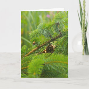 Hidden Pine Cone Wenskaart Feestdagen Kaart