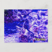 Hidden Seahorse Art in Purple and Blue Florida Briefkaart (Voorkant)