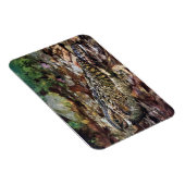 Hidden Whipporwill Magneet (Rechterzijde)