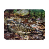 Hidden Whipporwill Magneet (Horizontaal)