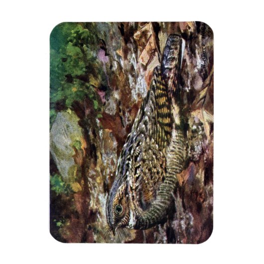 Hidden Whipporwill Magneet (Verticaal)