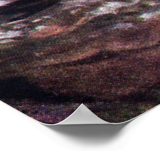 Hidden Whipporwill Poster (Hoek)