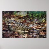 Hidden Whipporwill Poster (Voorkant)