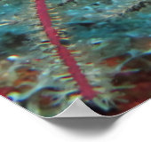 Hidding Trumpetfish Poster (Hoek)