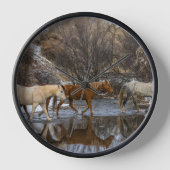 Hideout Horse Ranch (Voorkant)