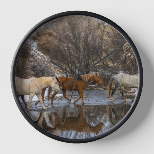 Hideout Horse Ranch (Voorkant)