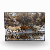 Hideout Horse Ranch Fotoblokken (Voorkant)