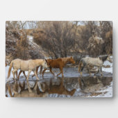 Hideout Horse Ranch Fotoplaat (voorkant)