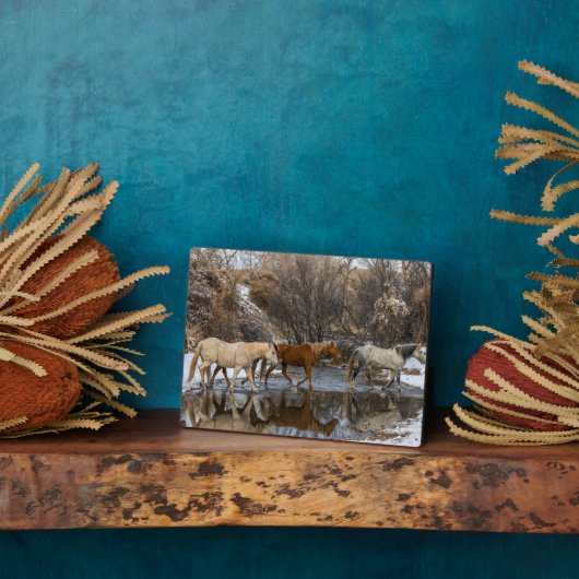 Hideout Horse Ranch Fotoplaat (Zijkant)