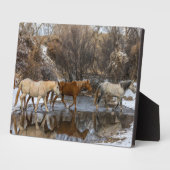 Hideout Horse Ranch Fotoplaat (Zijkant)