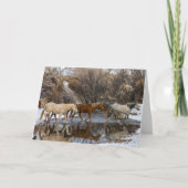 Hideout Horse Ranch Kaart (Voorkant)