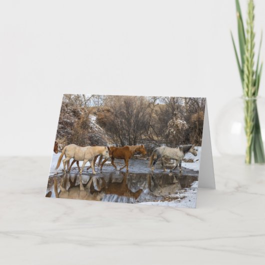 Hideout Horse Ranch Kaart (Voorkant)