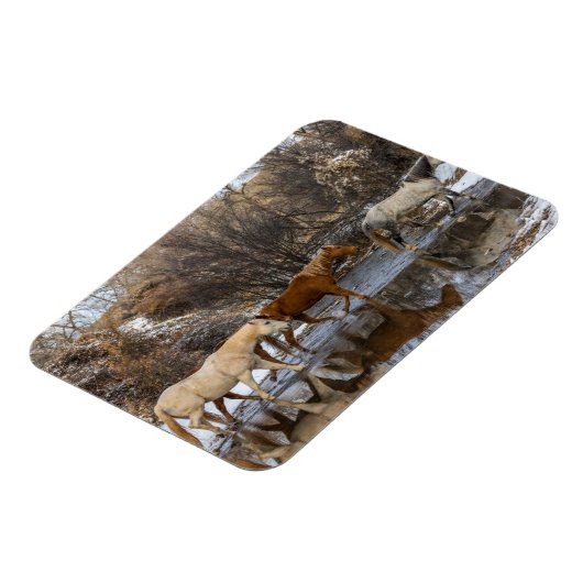 Hideout Horse Ranch Magneet (Linkerzijde)